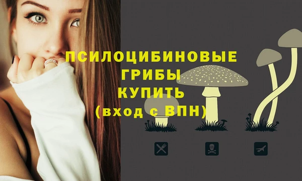 дмт Алексеевка