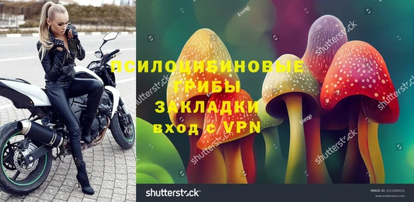 дмт Алексеевка