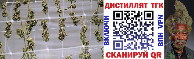 кракен ONION  Североуральск  ТГК вейп  наркошоп 