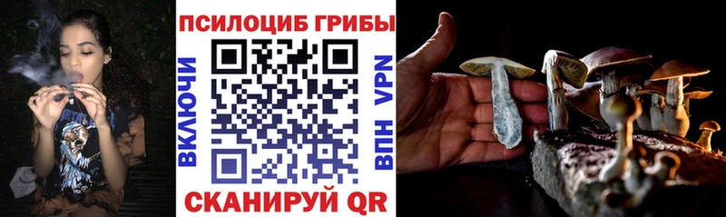Псилоцибиновые грибы GOLDEN TEACHER  Североуральск 